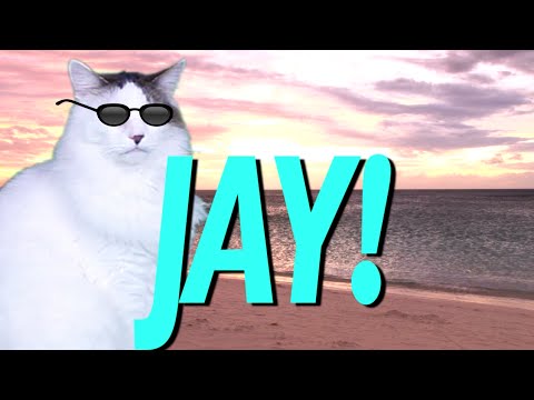 HAPPY BIRTHDAY JAY! - EPIC CAT Happy Birthday Song - YouTube