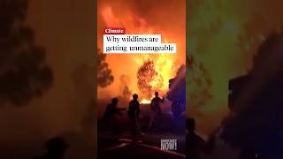 Wildfires are becoming increasingly unmanageable, says "Fire Weather" author
