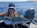 IFISH Kingfish in Jervis Bay