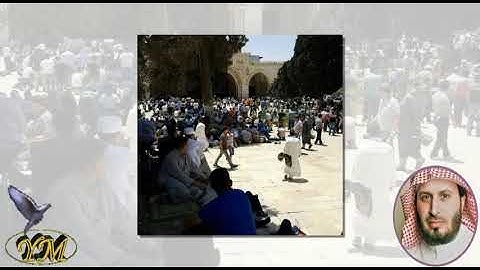 111 Al Masad الشيخ سعد الغامدي سورة المسد