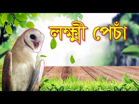 Paypoq eshakda sikish Timon va Pumbaa porno