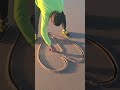حرف في قلب علي البحر 