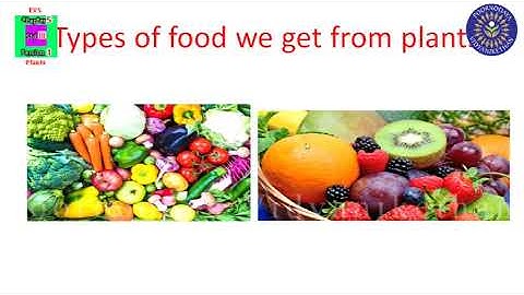 STD 3 - EVS - Chapter 5 (I)