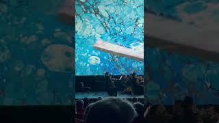 Вивальди, Времена года. Санкт-Петербургский оркестр Olympic Orchestra, Центральный дом кино, Москва