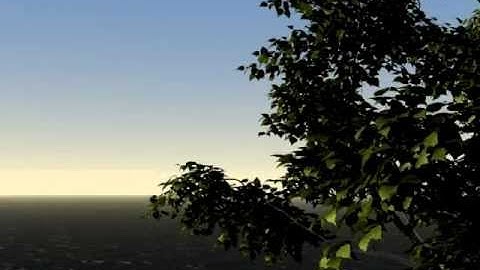 Attempt to make realistic animated tree with Lightwave 9.6