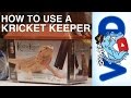How To Use a Kricket Keeper | BigAlsPets.com