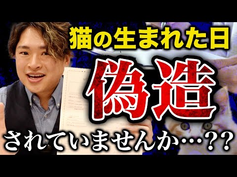 猫の「血統書(戸籍)」は貰って何も使わないのは本当にもったいないです。血統書の見方と意味を解説します!
