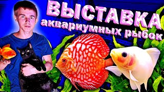 видео: Выставка аквариумных рыбок 2026. Чемпионат дискусов 2026 картинка: Выставка аквариумных рыбок 2026. Чемпионат дискусов 2026