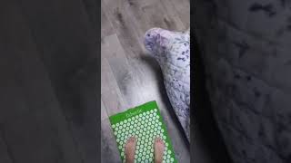 Акупунктурный массажный коврик