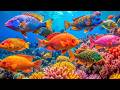 The Best 4K Aquarium - Dive Into The Mesmerizing Underwater Realm, Sea Jellyfish, Coral Reefs . #7