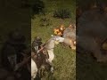 Hewan ini sakit di RDR 2