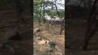 #short #shorts #shortvideo #shortsvideo #viral #viralshorts #trending