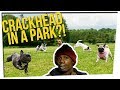 Off The Record: Joe's Dog Park Story & a Beaws Argument  ft. DavidSoComedy