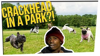Off The Record: Joe's Dog Park Story & a Beaws Argument  ft. DavidSoComedy