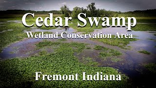 Fremont Indiana 07-20-2024 Cedar Swamp