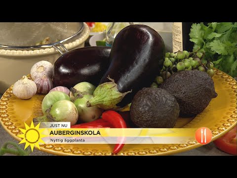 Video: Aubergine Fylld Med Bovete, Bacon Och Svamp