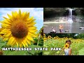 MATTHIESSEN STATE PARK/ BEAUTIFUL SUNFLOWERS FARM