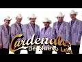 15 Leyendas de LOS CARDENALES