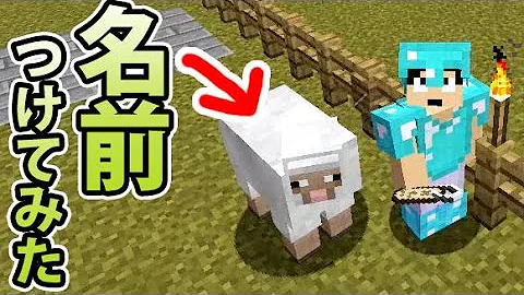 マイクラ 名札 使い方