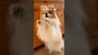 Nobody Can Be Trusted