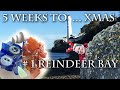 Reindeer Bay! 5 Weeks to Christmas - blue sea glass, stoppers, and agates galore!