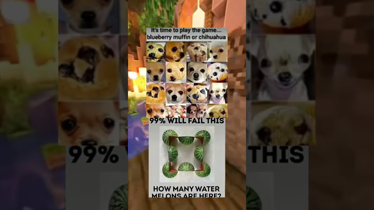 99 Will Fail This Memes