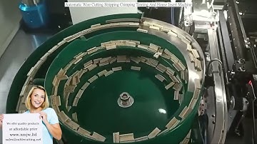 Automatic Wire Cutting Stripping Crimping Tinning And House Insert Machine