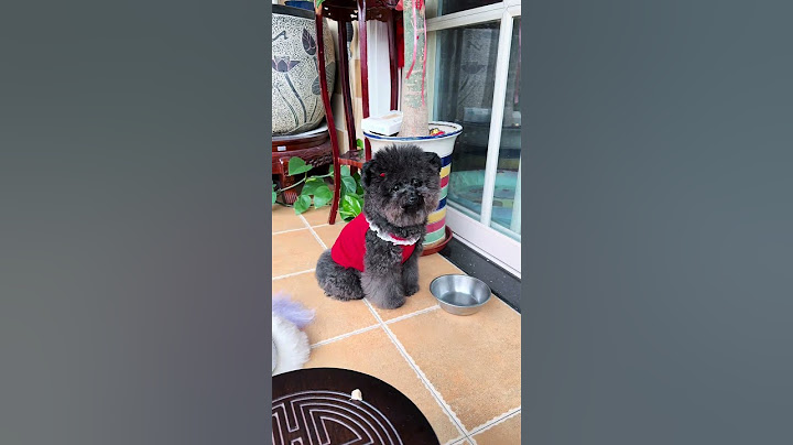 一言不合就生气 #萌宠日常记录 #不养狗不知道养狗的乐趣 #是宠物更是家人