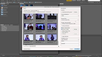 Importing files in Bridge