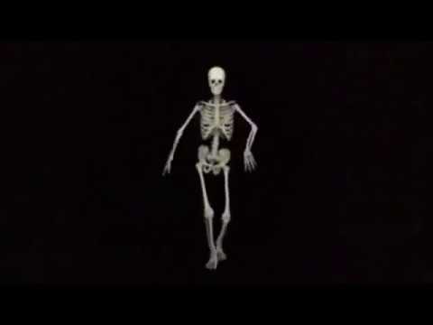 Skelet - Borc icinde - | Elsad Vefali |