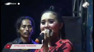 Download Lagu DERMAYU HONGKONG || VOC.SHINTA DEWI ||  CITRA NADA LIVE DESA KANCI WETAN || CIREBON MP3