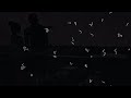 احبك واحلف بحبك 