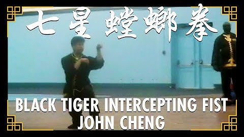 Black Tiger Intercepting Fist (黑虎交叉) | Grandmaster John Cheng