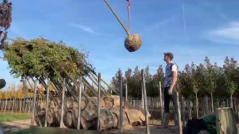 LOADING TREES WITH HIGH SPEED | MDE loading crane 6800E4