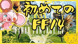 #03【FF14｜初見】 初めてのファイファン１４！！！【ファイナルファンタジーXIV】: 418 #vtuber