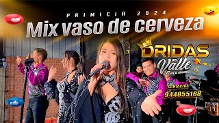 Video thumbnail of "Mix Vaso De Cerveza   Dridas Del Valle Primicia 2024"