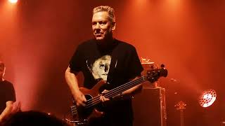 View Violent Femmes Live Performance of 'Never Tell' at Commodore Ballroom, Vancouver