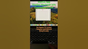 Read Apple MacBook Info like bridgeOS ecid serialnumber … MacBooks must be connected in USB