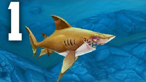 Hungry Shark World : Gameplay Walkthrough Part 1| Blacktip Reef