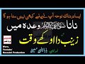 NANA Wada Mai ZAINAB Da720p NANA Wada Mai ZAINAB Da720p