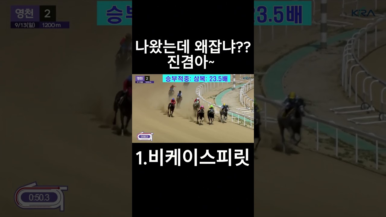 나왔는데 왜 잡냐??  진겸아  #경마  #경마예상  #경마방송  #경마예상방송  #서울경마  #금요경마  #토요경마  #일요경마 #경마장