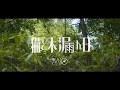 MIO / 猫と木漏れ日 - Music Video