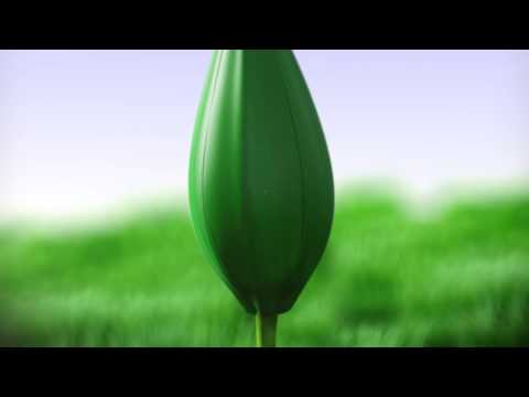 قناة اطفال ومواهب الفضائية فاصل للقناة