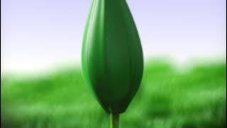 قناة اطفال ومواهب الفضائية فاصل للقناة