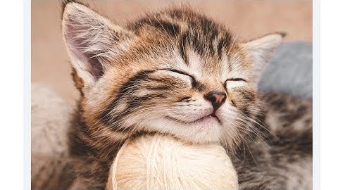 Jigsaw Puzzles - Puzzle Game Level 2 Walkthrough Solution  Gameplay