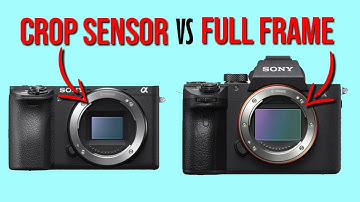 Full Frame vs Crop Sensor Camera: Can You Spot the Difference? | Detailed Comparison!