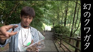 山地でしか採れない幻のクワガタをGETした！