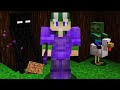 Ranboo saves Philza from a Baby Zombie - Dream SMP