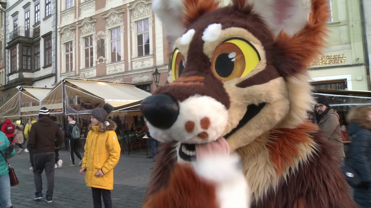 Furwalk Prague - January outing