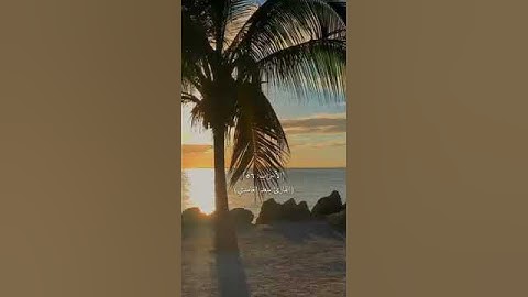 سورة الأحزاب [٥٦] (القارئ سعد الغامدي)